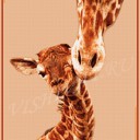 Жирафик с мамой